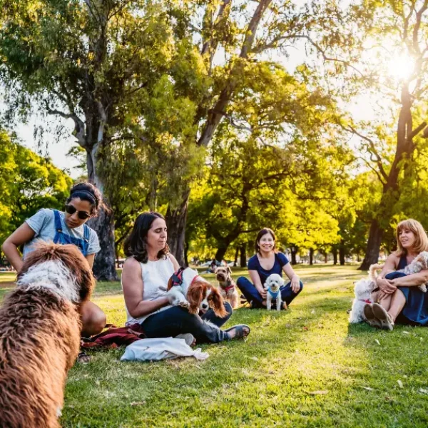 Dog_Park_Etiquette_Rules